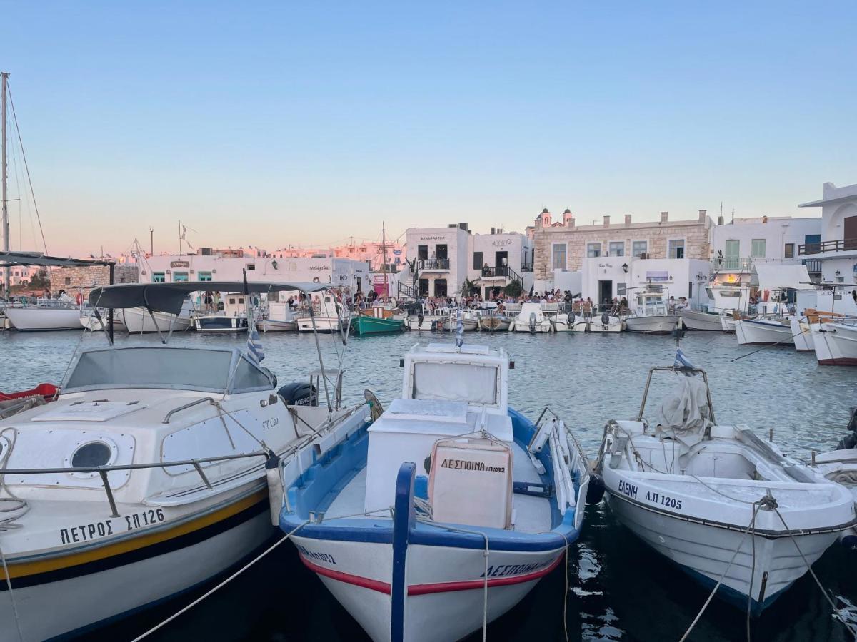 Sunkiss Paros Apartment ดริยอส ภายนอก รูปภาพ